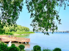-丁香湖公园