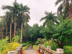 -南宁南湖公园