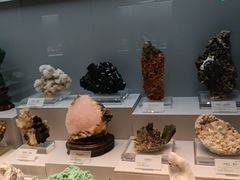 -湖南省地质博物馆