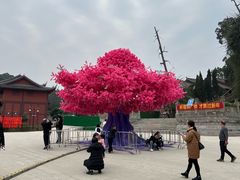 -中国观音故里广德景区