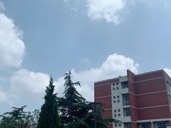 -山东外贸职业学院