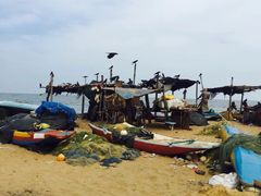 -尼甘布海鲜市场