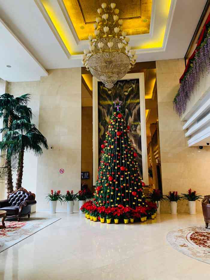 上海吉臣维景酒店-"非常满意,住的房间很舒服,服务也好.