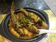黄骨鱼焖豆腐-来客家食府 · 福建客家菜(厦禾路店)