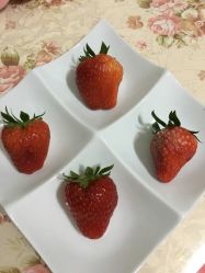 -金宝贝儿童摄影