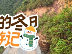-杨梅坑