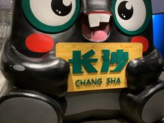 -湘潭九龙鱼头店(城南西路店)