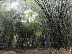 -望江楼公园
