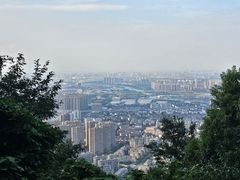 -惠山国家森林公园