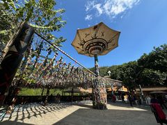 -西双版纳原始森林公园