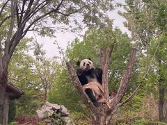 -济南野生动物世界