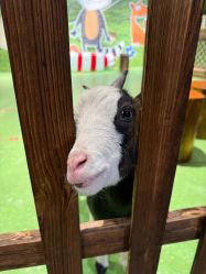 -酷嗒动物文化乐园(cutezoo西溪乐天城店)