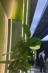 -不迫先生专业男士剪发