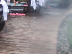 -美的鹭湖森林度假区