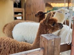 -珠海海泉湾神秘岛亲子乐园