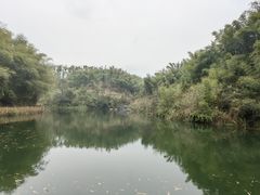 -沐川竹海旅游景区