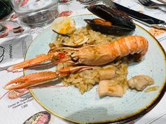 -Tapa Tapa