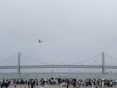 -星海广场