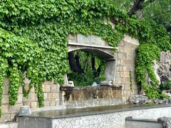 -团结湖公园
