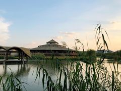 -乌村