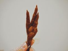 -鸡脚旮旯平江路店
