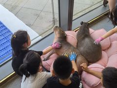 -FAIRYLAND龙族星球主题餐厅(凯丹广场店)