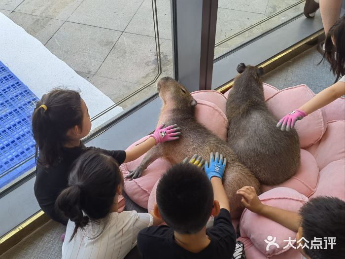 FAIRYLAND龙族星球主题餐厅(凯丹广场店)图片