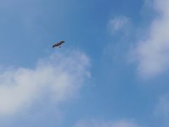 -钟山体育运动公园