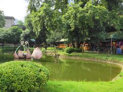 -漓江冠岩景区