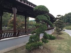 -花溪公园