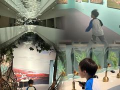 -中国湿地博物馆
