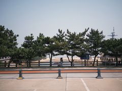 -日照海滨国家森林公园