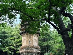 -潭柘寺景区
