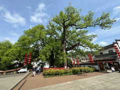 -新安江山水画廊风景区