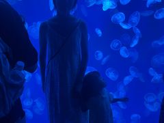 -江和美海洋公园