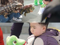 -中国西峡恐龙遗迹园