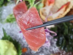 -Hatsune隐泉日式料理(三里屯太古里店)