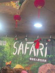 -卡通尼·Safari非洲探索乐园·生日会(金桥国际商业广场店)
