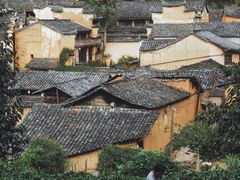 -杨家堂村