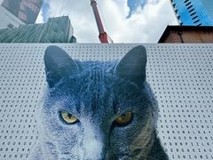 -大馆(前中区警署建築群)
