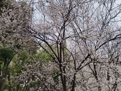 -堤角公园