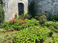 -金谷域澳洲庄园