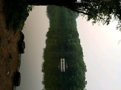 -三水森林公园