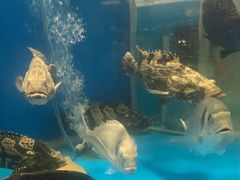 -太平洋PACIFIC SPA•奢睿水疗(万象城店)