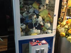 -回声星球·团建策划·赛事承办·拓展培训(大钟寺店)