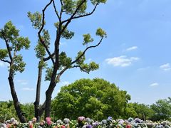 -苏州上方山国家森林公园
