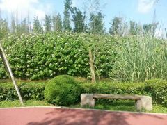 -白鹭湾湿地公园