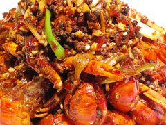 招牌小青龙-麻辣-虾胡闹·澳洲小龙虾·烧烤(福田鲨鱼店)