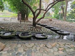 -成都市活水公园