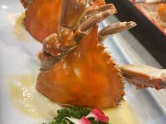 -渔娘渔家丹东海鲜(东直门店)